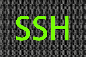 WARNING: REMOTE HOST IDENTIFICATION HAS CHANGED!