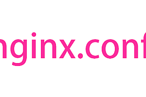 Nginx配置文件nginx.conf中文详解