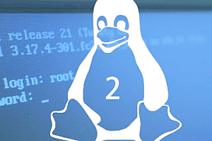 Linux 基础命令二