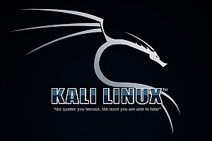 Kali VirtualBox增强工具安装方法