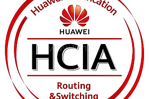 使能Proxy ARP功能的路由器收到一个ARP请求报文时,发现其所请求的IP地址不是自己,则会进行如下哪些操作? (多选)