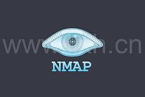 nmap 命令常用参数锦集